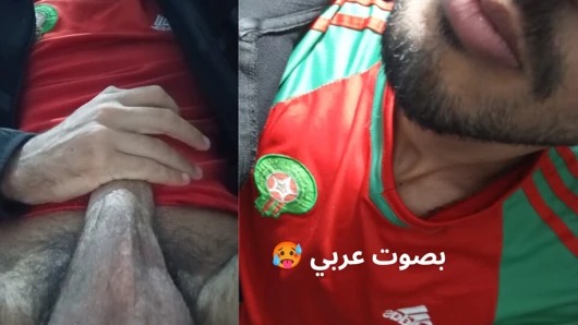 Moroccan African lion calling on a person who wants to disobey him