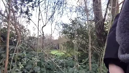 parkta oynamak