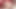 BOBSTGIRLS: Just a Reminder That I'm a Huge Butt Slut.
