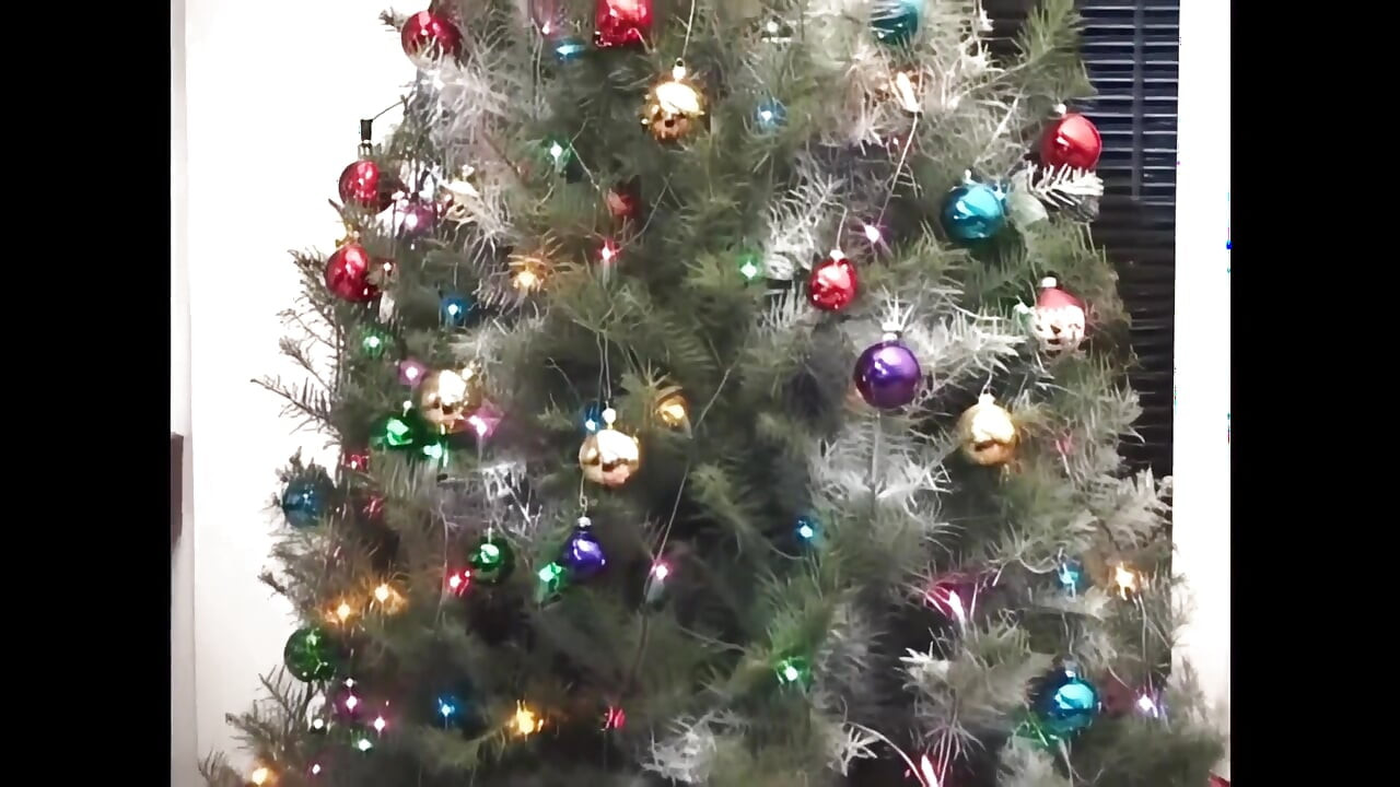 Pussy yang dibawa oleh Santa Claus