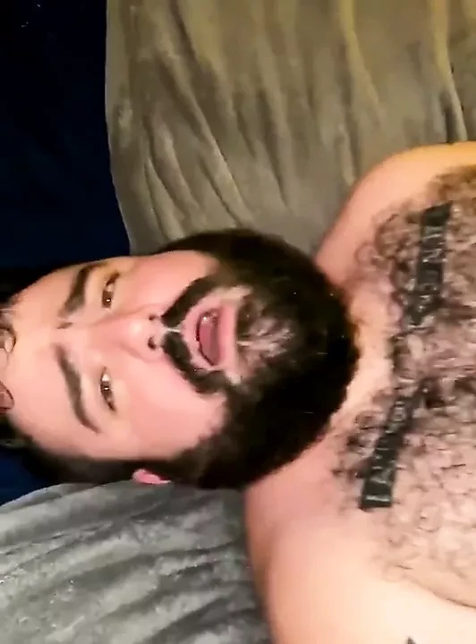 Daddy Bear