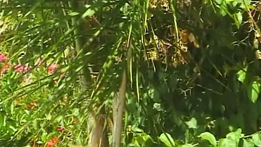 Weiße Höschen Chroniken 08: Poolside Lesbenabenteuer