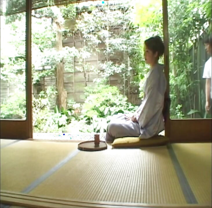 P128G02 The proprietress of a traditional Japanese restaurant where a single mistake triggers a loop of sensuality... An erotic drama set in the early Showa era!