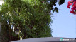 Pratonton Video