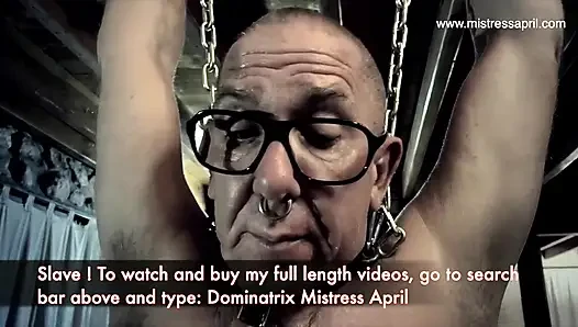 Dominatrix sahibe April'ın hafıza düzeltmesi