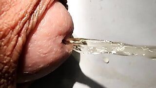 Slow motion pissen van een grote penis
