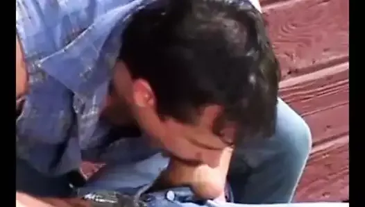 a cocksucking compilation (one for the bi