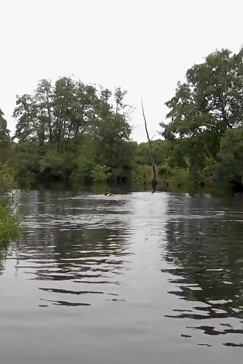 Lifejacket &amp; Cosy Wetsuit Saves Lucy From River Disaster
