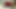Hintli ateşli yenge genç üvey erkek kardeşiyle ateşli erotik seks yapıyor! desi seks
