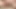 Really two cocks