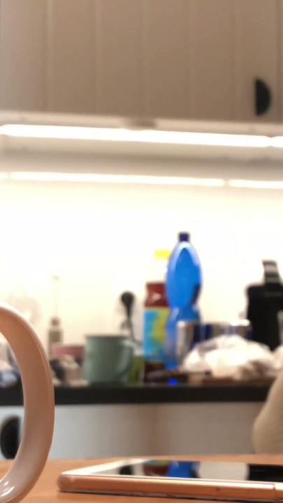 Braless Mini G-String Sylvia in the Kitchen doing the Dishes | Clip 1