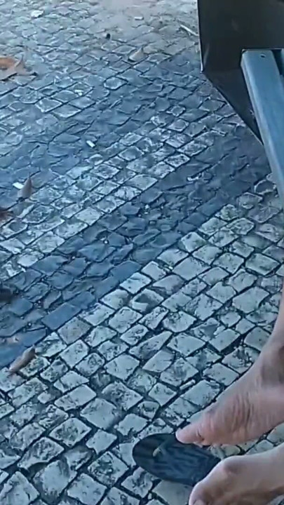 cameltoe voyeur in the square. | Clip 2