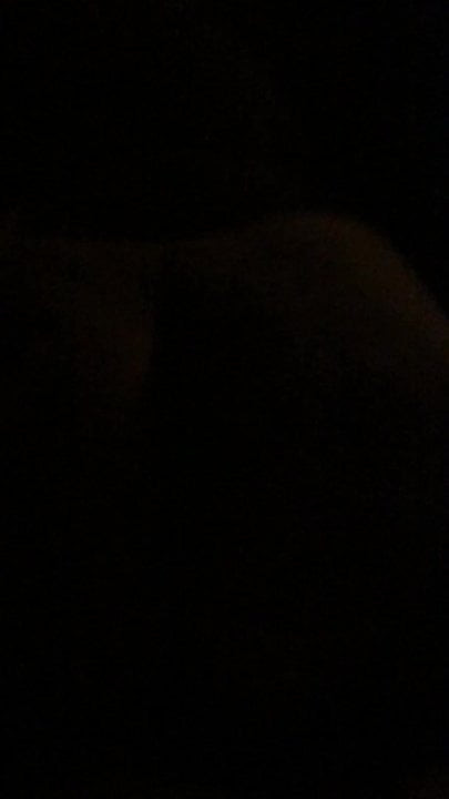 Doggy in dark room