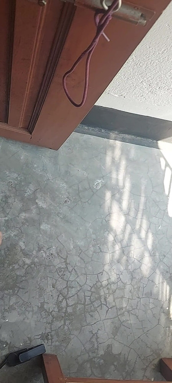 My Cock