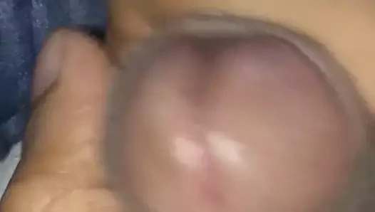 Penis sikme sert