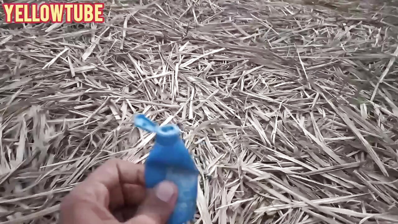 Une Indienne s’amuse en plein air et musti kama sutra