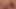 Video 008