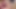 Sissy Squirt From Anal Orgasm Thick Creamy Cum