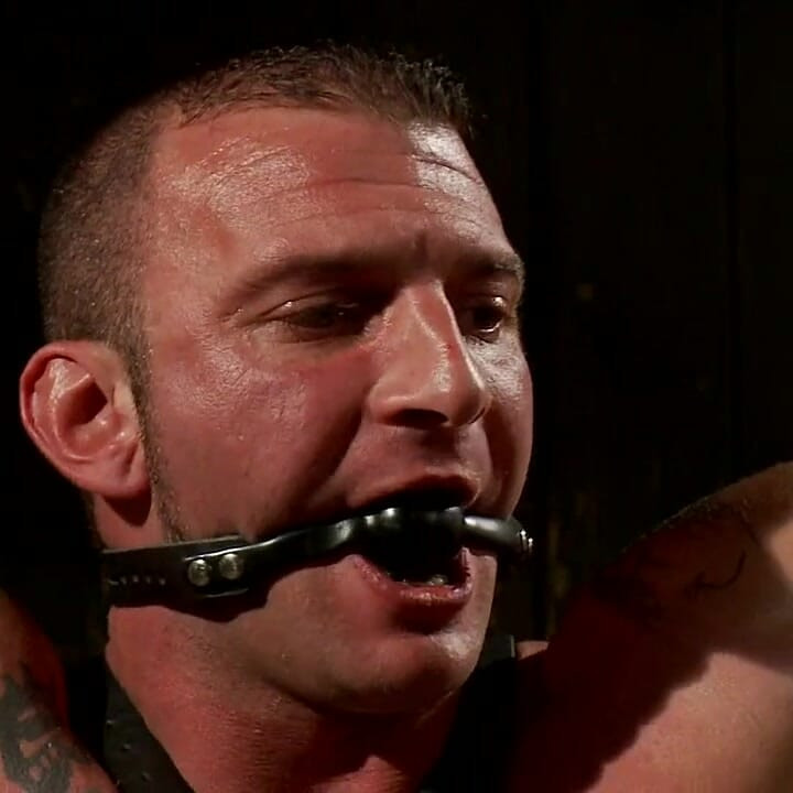 Happy Birthday, Felony!