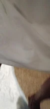 Video pregled