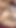 Jaw-dropping moment from "I take off my cheating sister-in-law's panties and fuck her with my small penis"