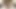 Thick Gilf Huge Boobs Big Ass POV Sucking Fucking Your Cock