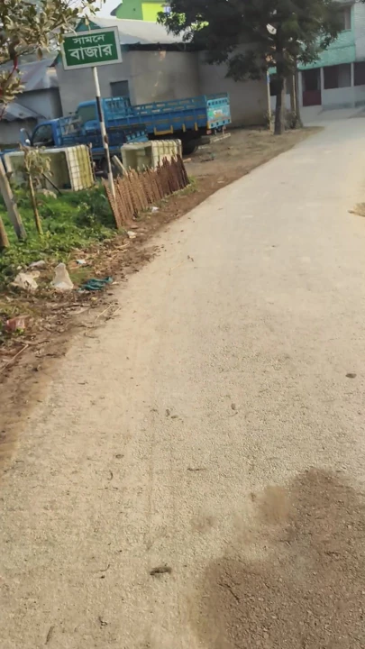 Viral video