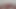 lanet 8 inç pembe yapay penis üzerinde bir duvar