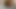 amateur homevideo -3