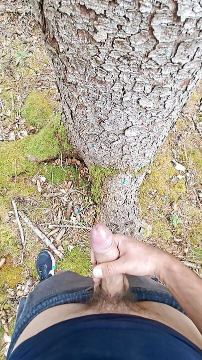 The tree is affected by this