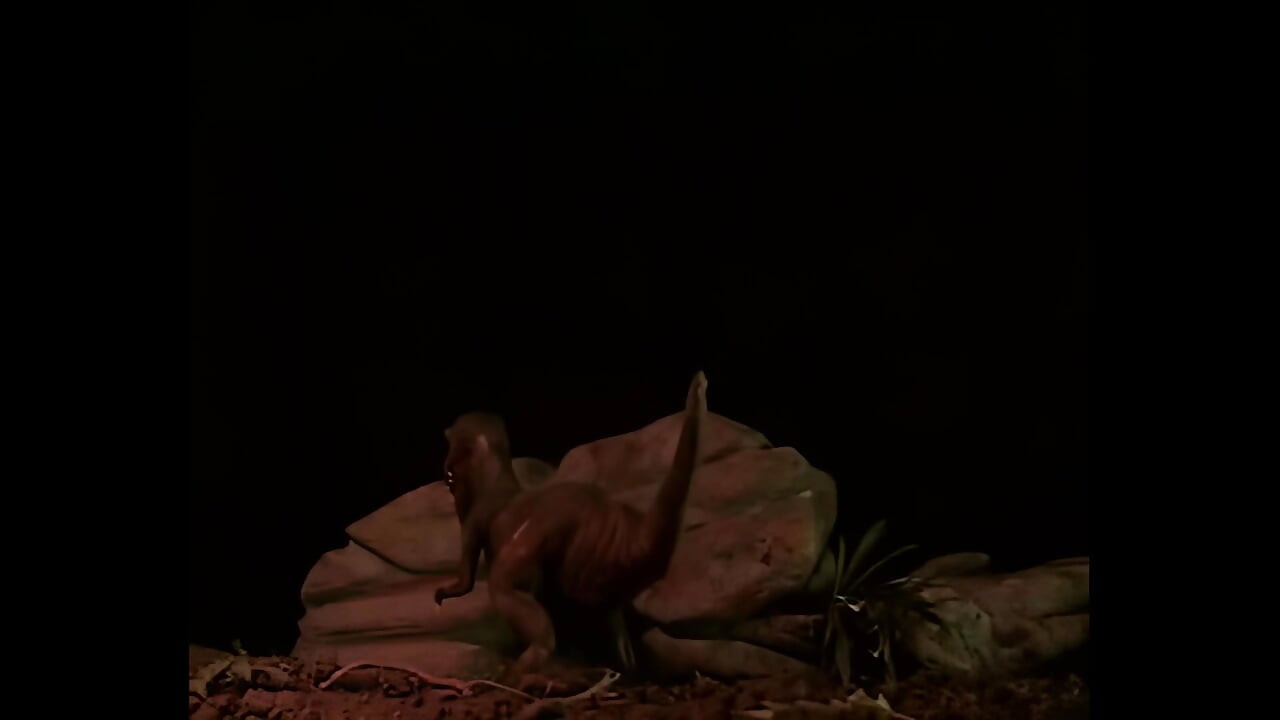 Blonde Horny Whore Was Satisfied While She Was Fucked