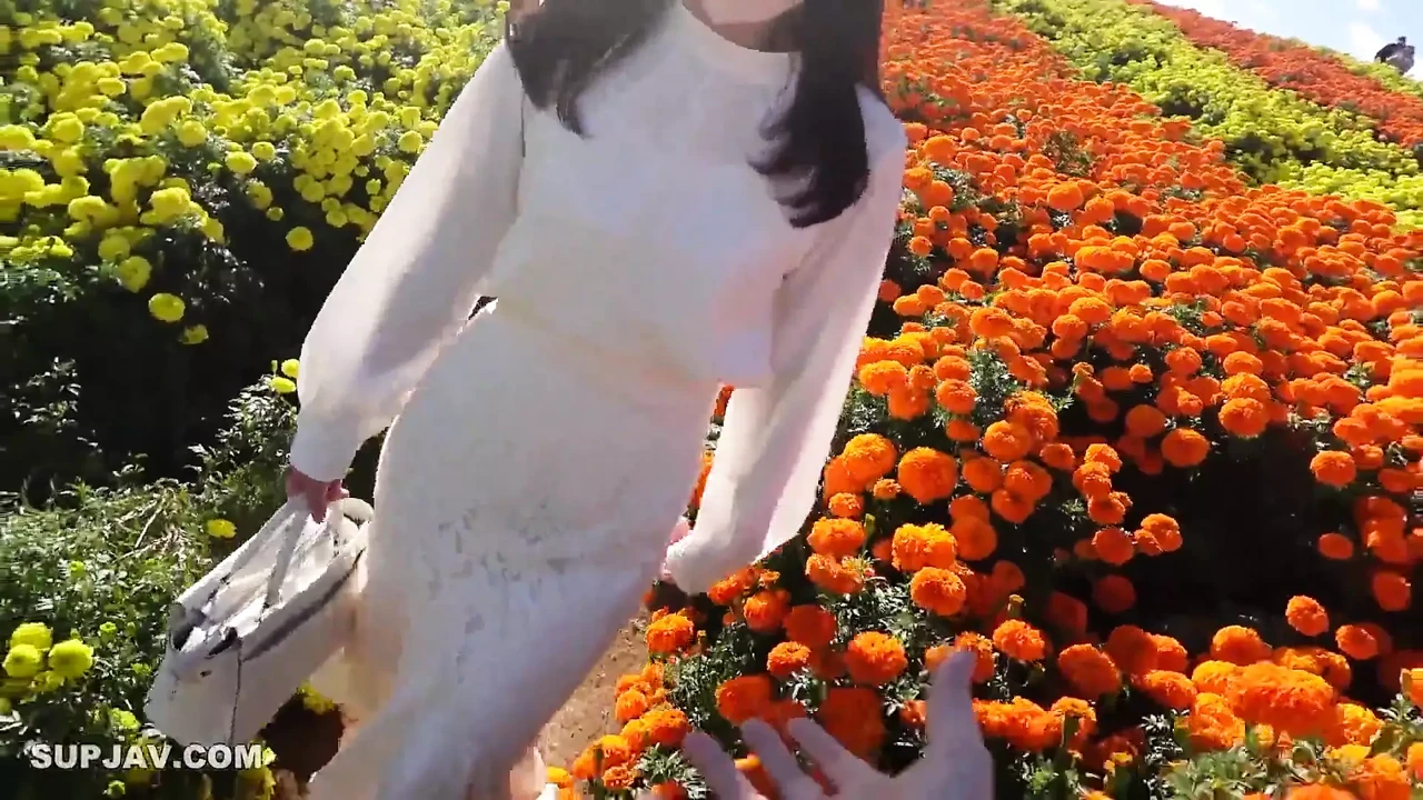 Asian Angel 16811