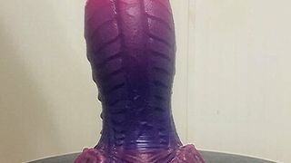 Bad Dragon stretches my ass pussy