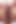 ケイト・プッシー・ウィップ 33234
