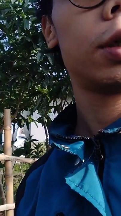 Walking Through a Beautiful Tea Plantation  Relaxing Nature Adventure | Clip 2