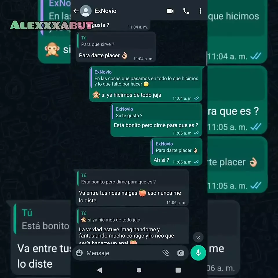 Anal proposal from my ex.. hot chat on Whatsapp (I end up putting a PLUG in my tail)