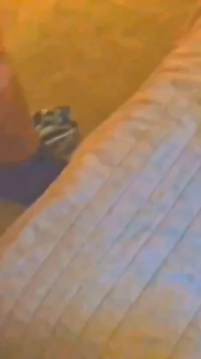 Memorable moment from "Strangers fuck and creampie my wife"