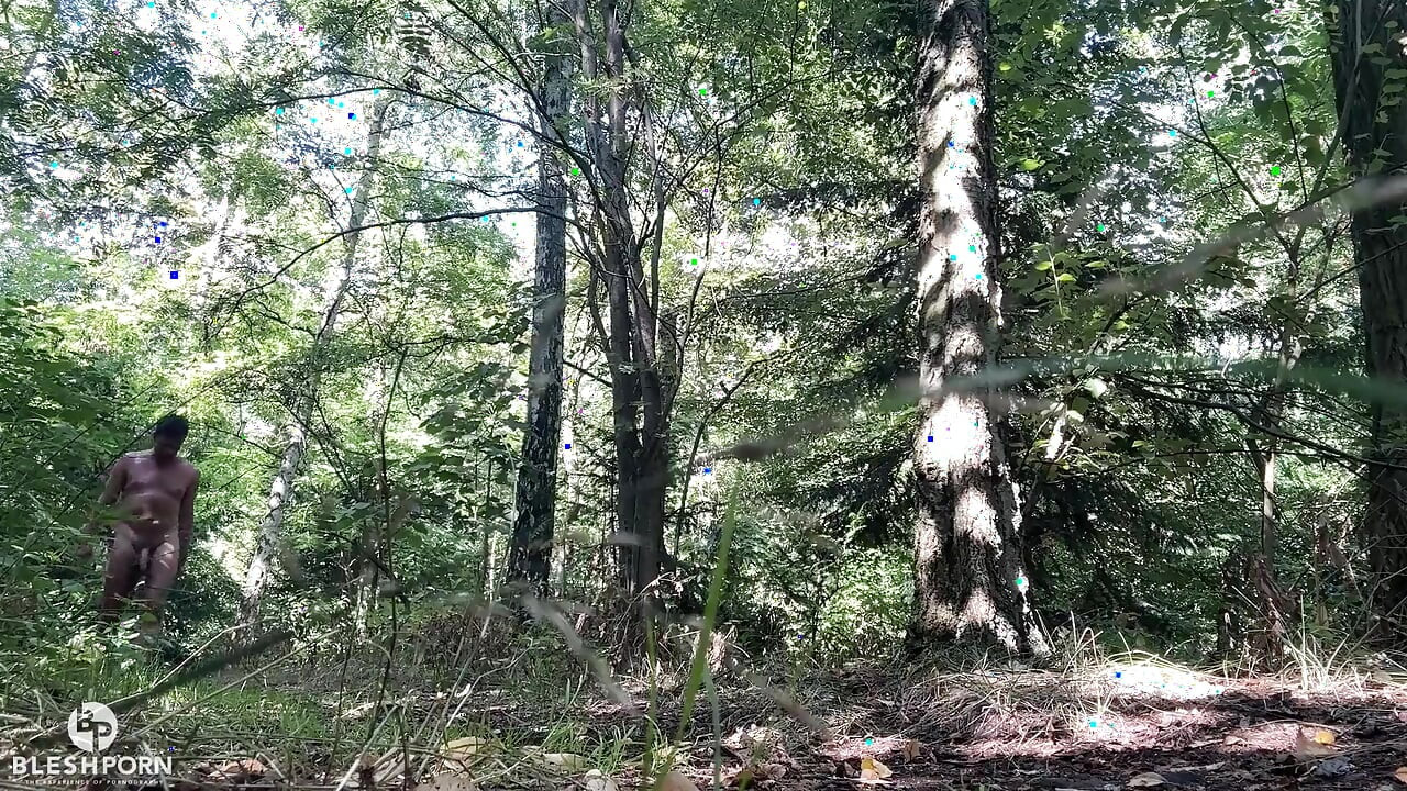 Private Lake Tim Blesh in the Forest