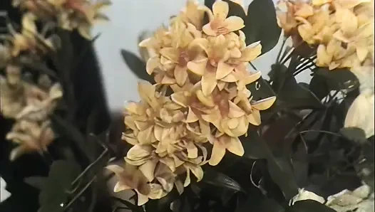 Several Duos Fucking Well Horny