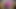 POV Sissy Blowjob
