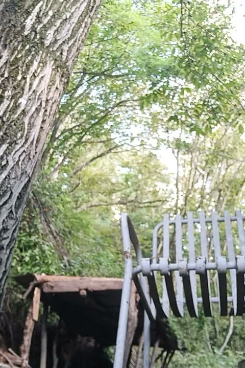 Outdoor Pee, Someone Can Enjoy It