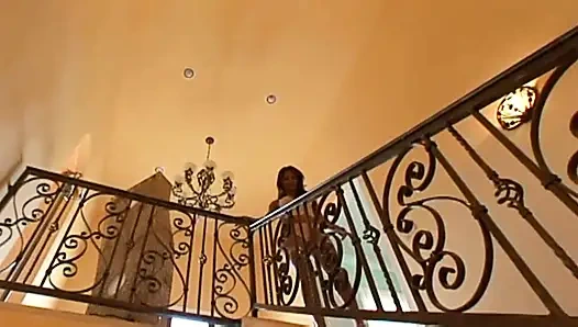 LEX STEELE MILF MAGNET 5 (kompletter film)