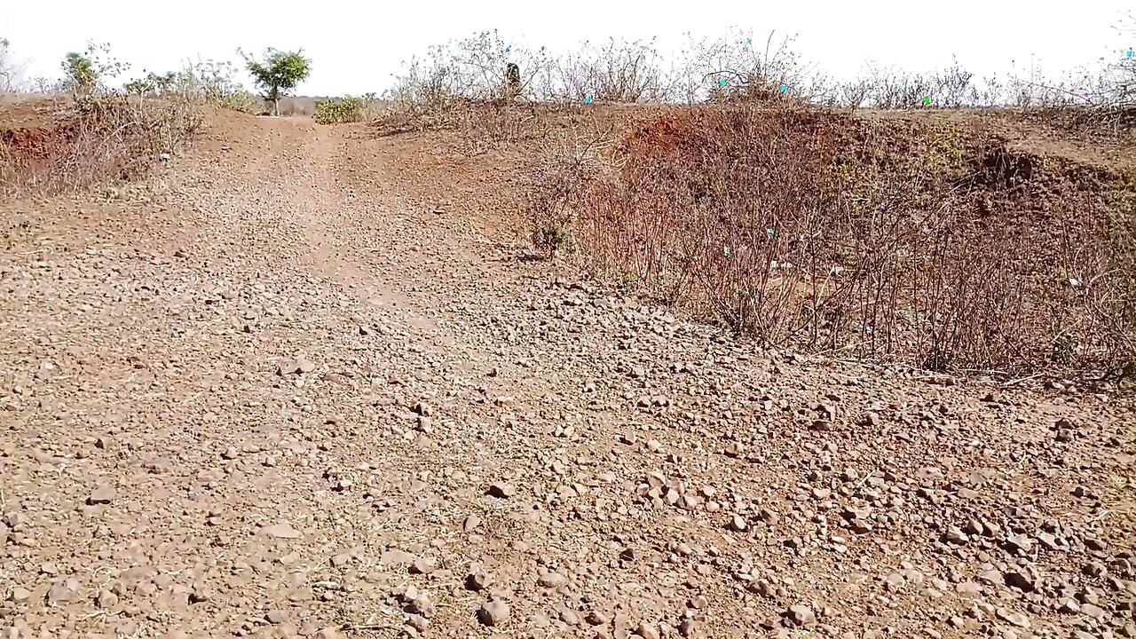 Ich nahm meine schwägerin in den dschungel, ich war am Rande der Dschungelstraße, schwägerin sagte, geh nach hause und traf meinen arsch, bruder,