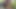 Stepmom hard in sugarcane field