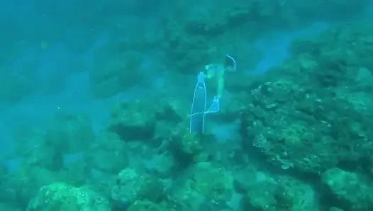 Die kleine meerjungfrau