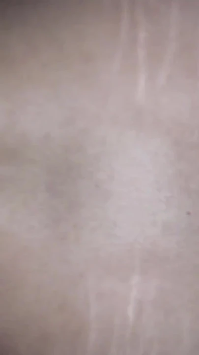 רגע מפתח מתוך "ארטי צריך כיף עם דבר"