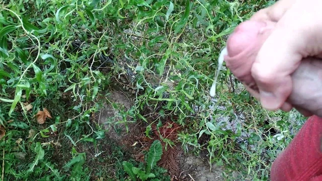 Handjob and cumshot solo compilation