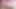 Red Mini Skirt Big White Ass Shemale Boy Sissy Big Butt Tranny Booty Trap Slut Trans The Best
