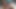 TUTOR4K. Deep learning of reproductive system
