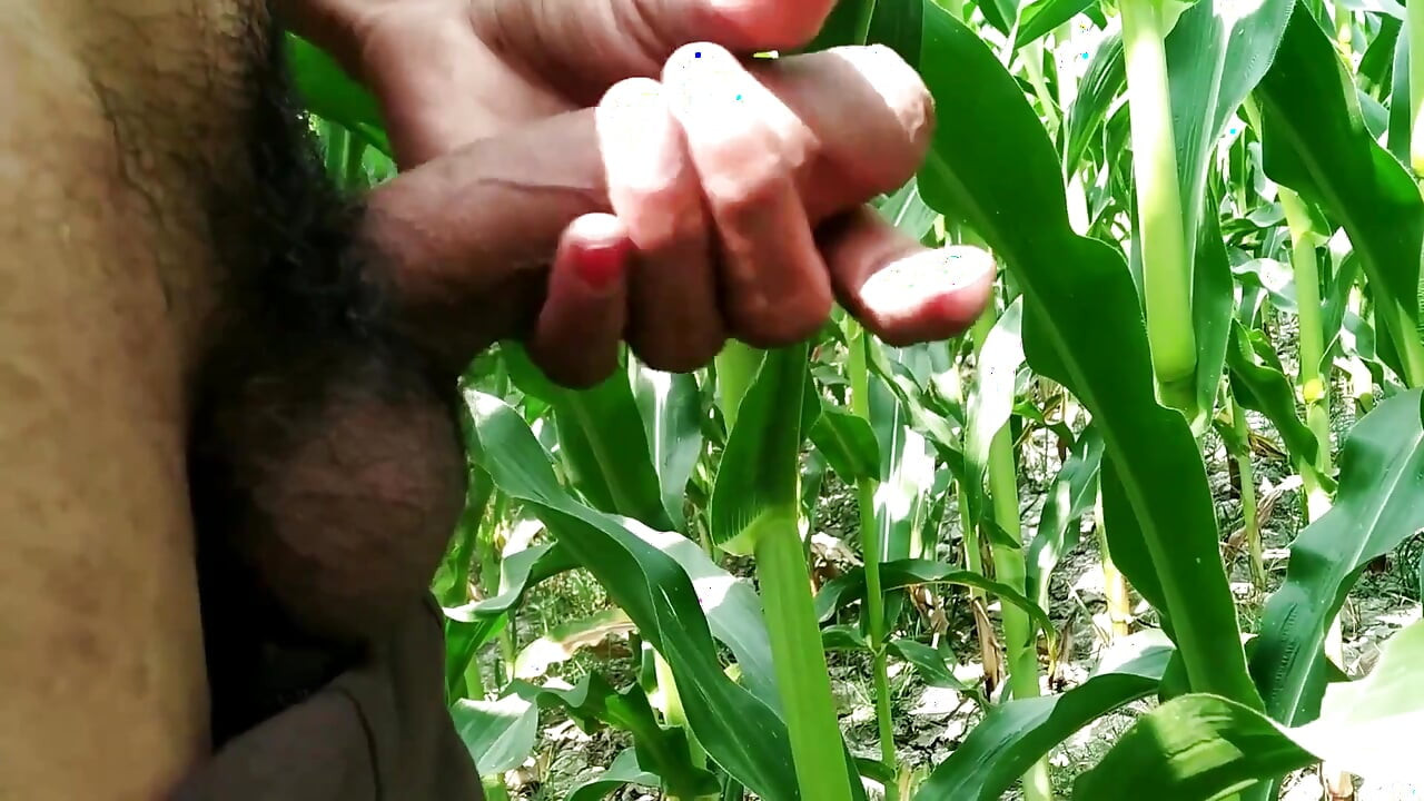 Ръчна работа на открито и свършване върху листо, голям кур